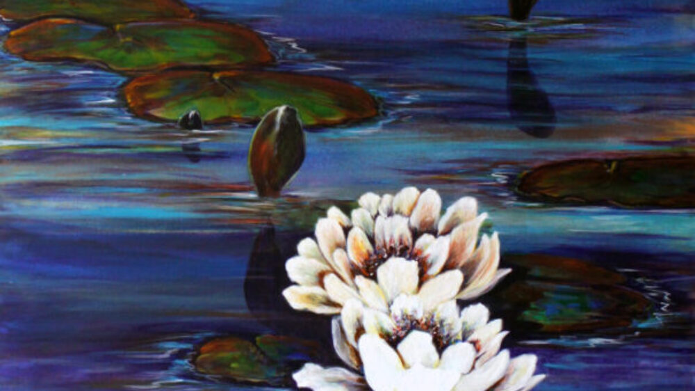 waterLillies2